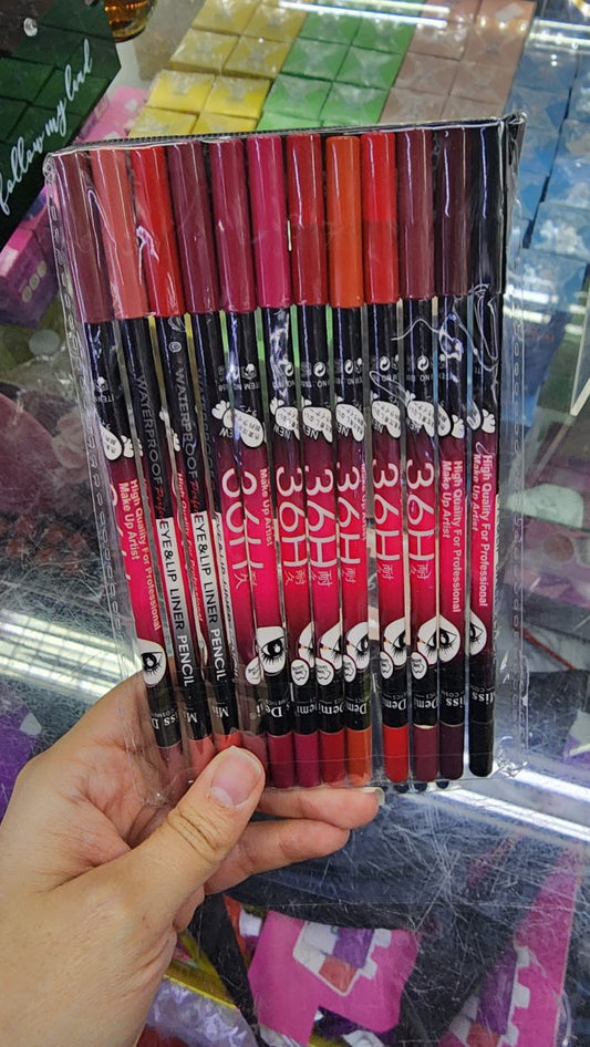 LAPIZ DELINEADOR DE LABIOS 12PCS