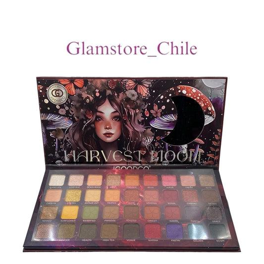 PALETA SOMBRA OJOS IGOODCO